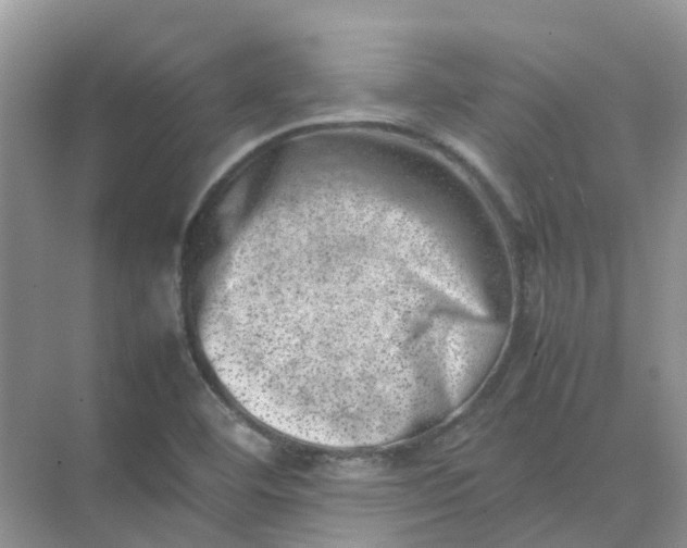 X0000074951460200609152018