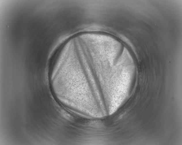 X0000074951464200609152018