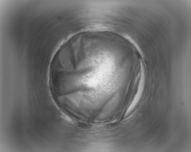 X0000074951477200609152018