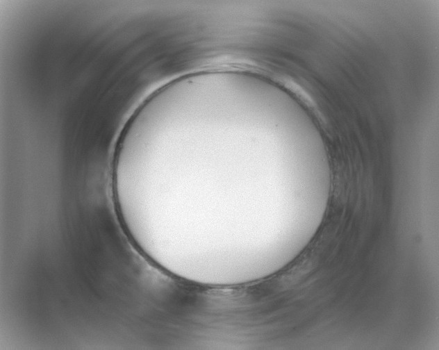 X0000074951478200609152018