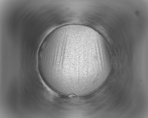 X0000074951479200609152018