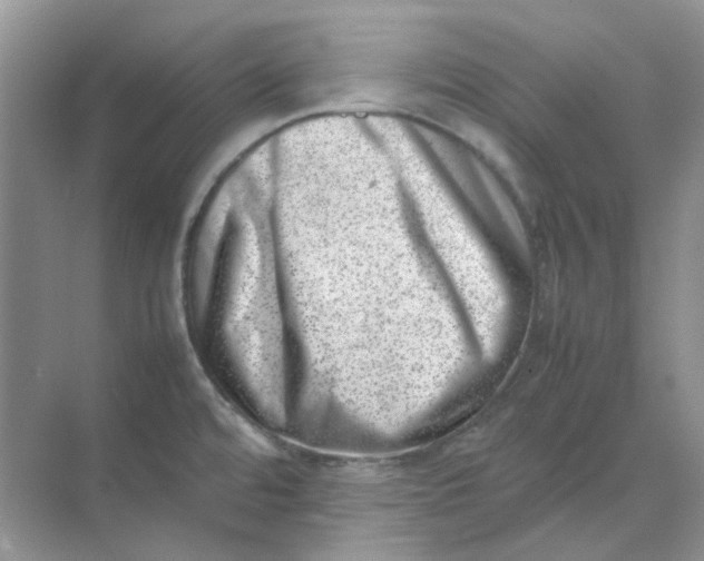 X0000074951480200609152018