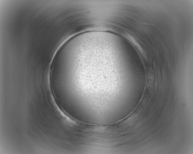 X0000074951484200609152018