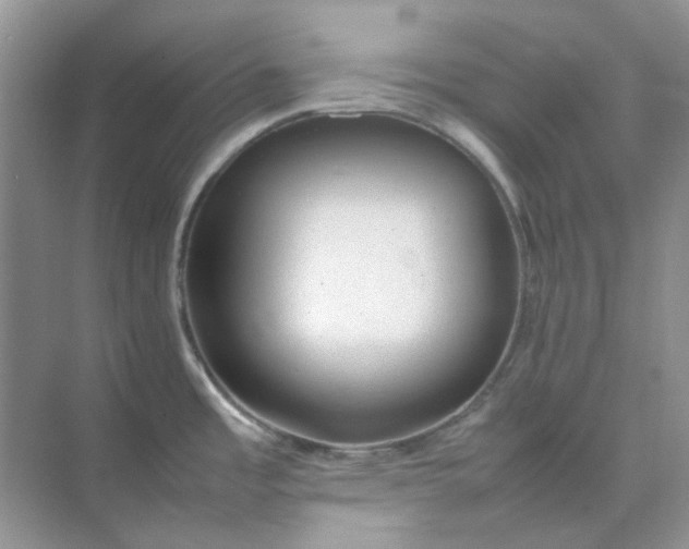 X0000074951485200609152017