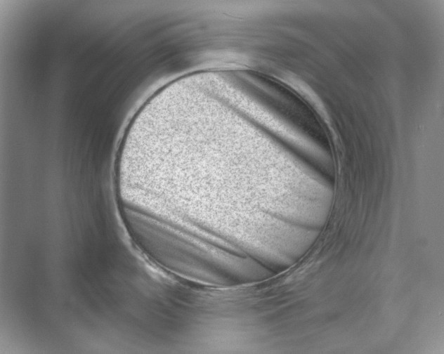 X0000074951488200609152017