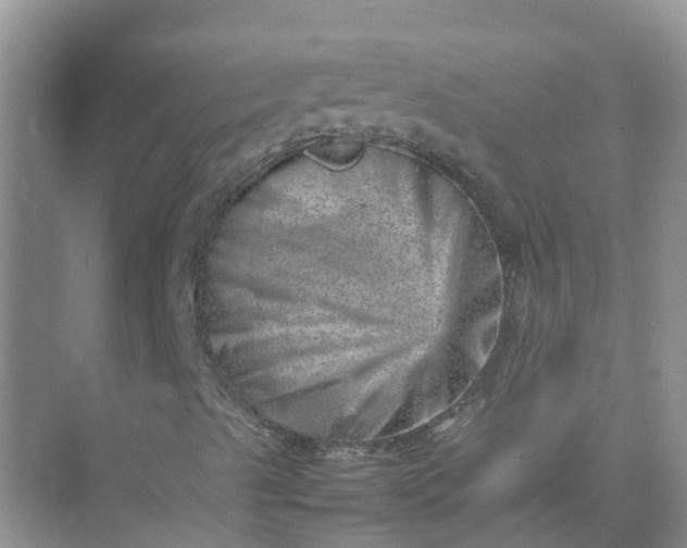 X0000074951489200609152017