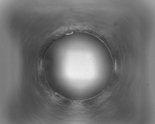 X0000074951492200609152017