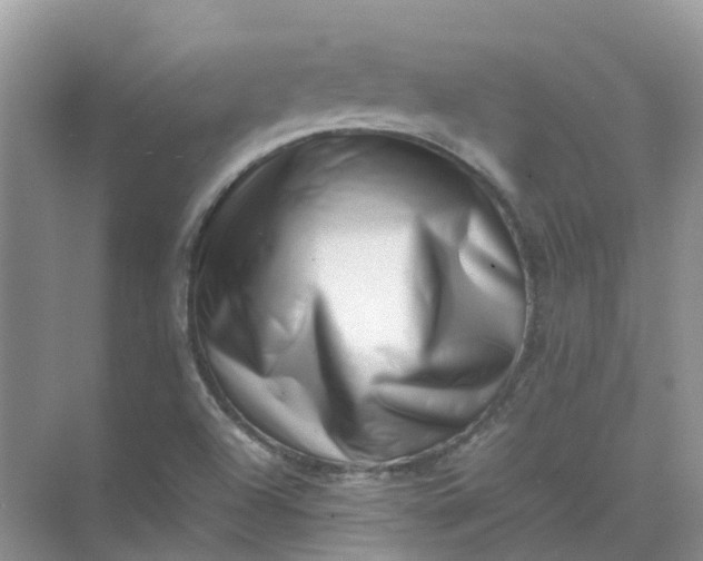 X0000074951504200609152017