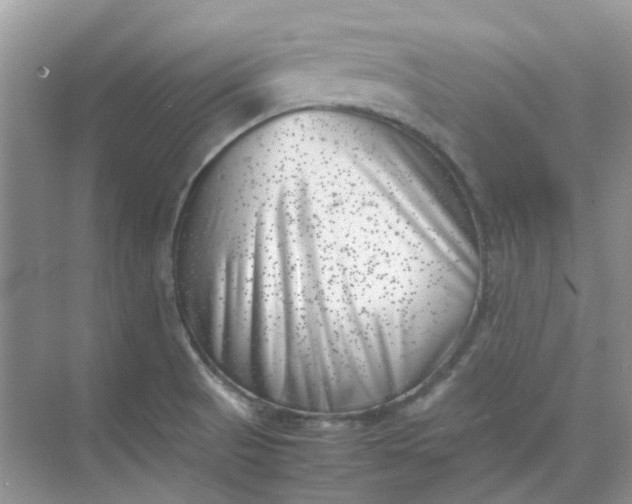 X0000074951521200609152017