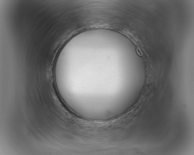 X0000074950002200609221743