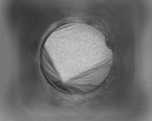 X0000074950006200609221743