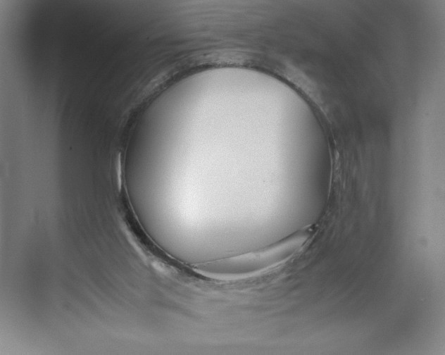 X0000074950013200609221743