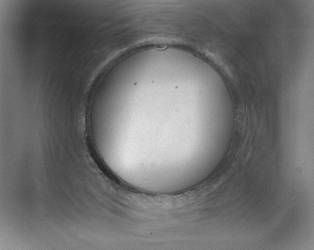 X0000074950015200609221743