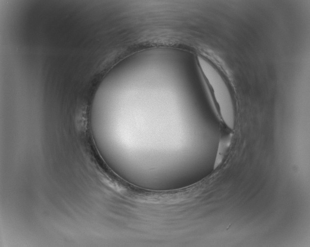 X0000074950017200609221743