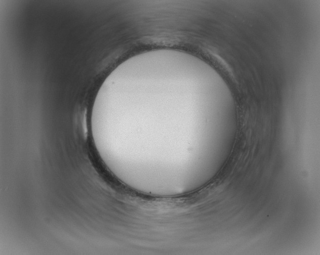 X0000074950020200609221743