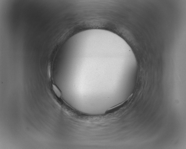 X0000074950021200609221743