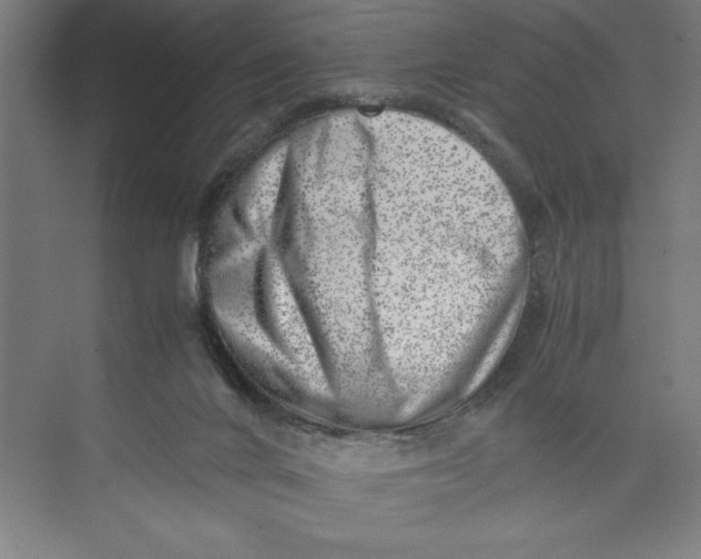 X0000074950024200609221743