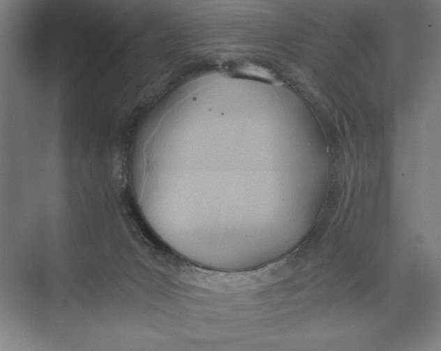 X0000074950031200609221742