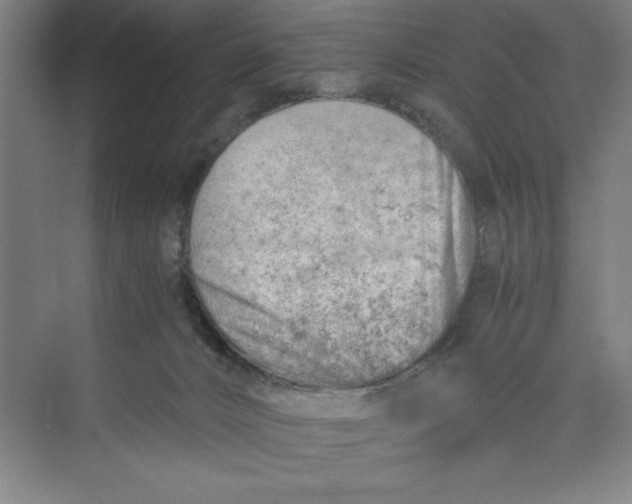 X0000074950032200609221742