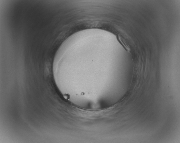 X0000074950035200609221742