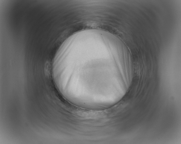 X0000074950036200609221742