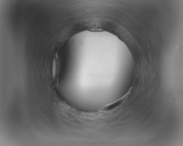 X0000074950037200609221742