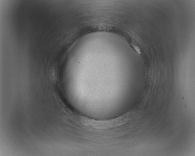 X0000074950039200609221742