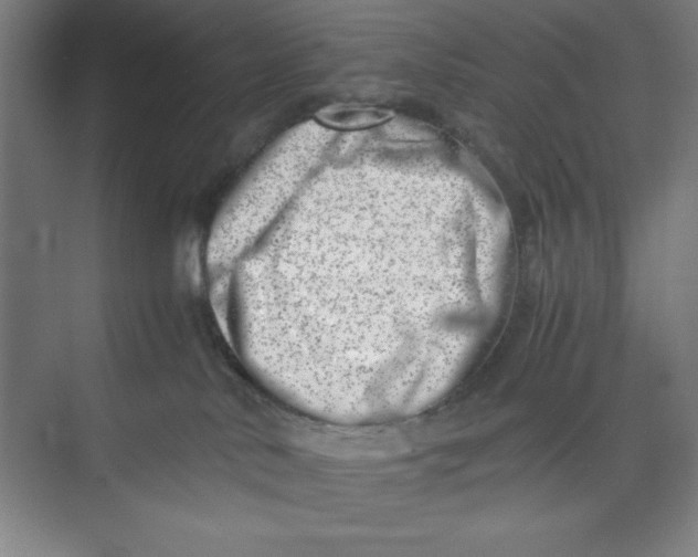 X0000074950042200609221742
