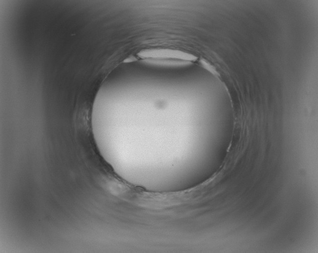 X0000074950045200609221742