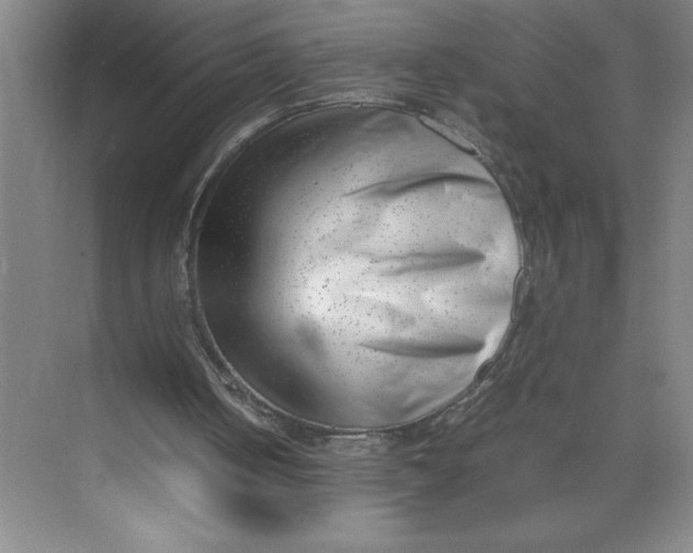 X0000074950050200609221741
