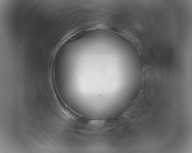 X0000074950051200609221741