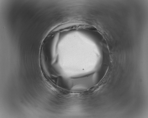 X0000074950052200609221741