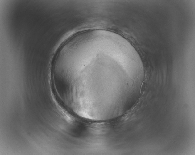 X0000074950054200609221741