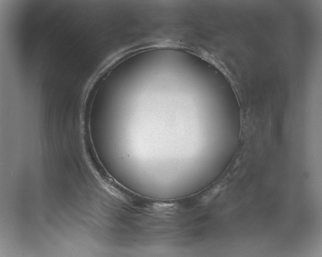 X0000074950055200609221742