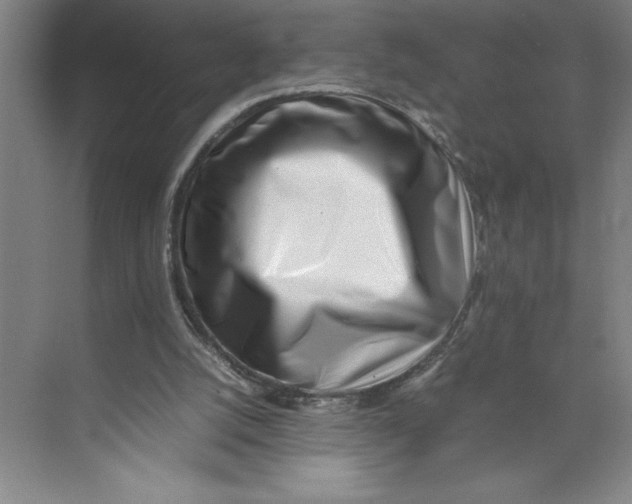 X0000074950056200609221742