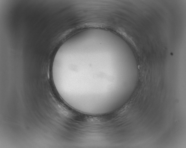 X0000074950062200609221742