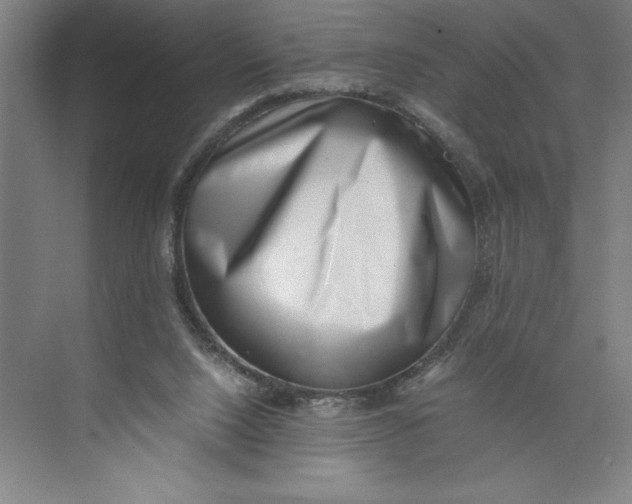 X0000074950064200609221742