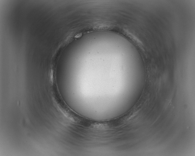 X0000074950067200609221742