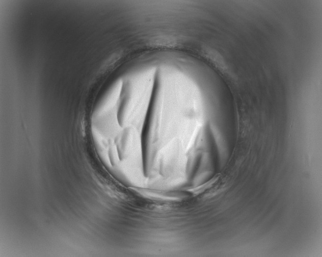 X0000074950068200609221742
