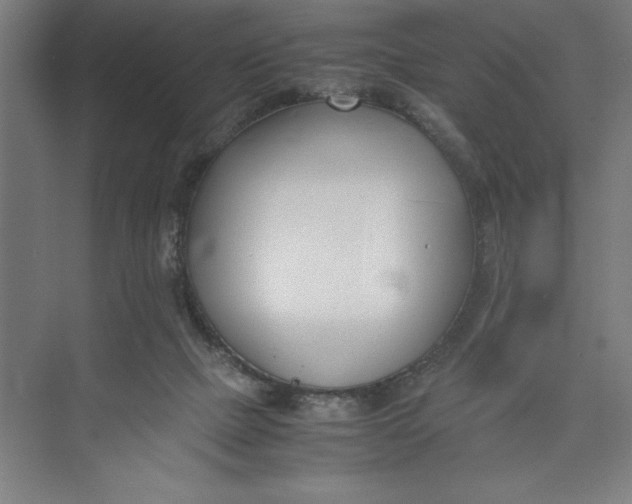 X0000074950073200609221742