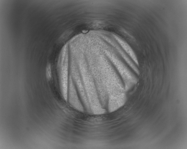 X0000074950075200609221742