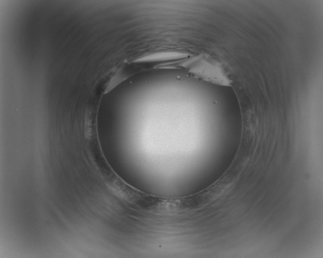 X0000074950080200609221742