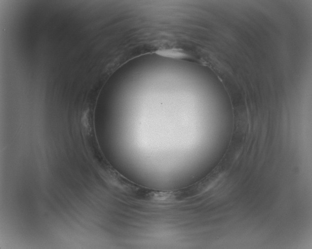 X0000074950088200609221742