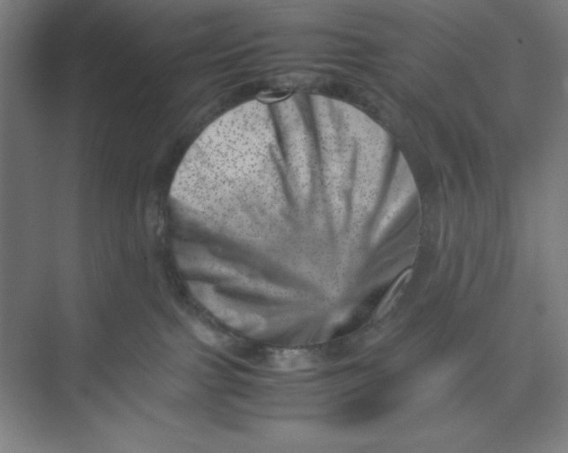 X0000074950091200609221742