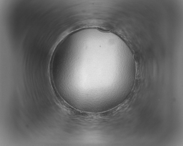 X0000074950099200609221741