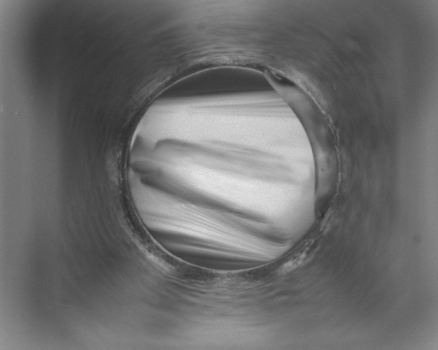 X0000074950105200609221741