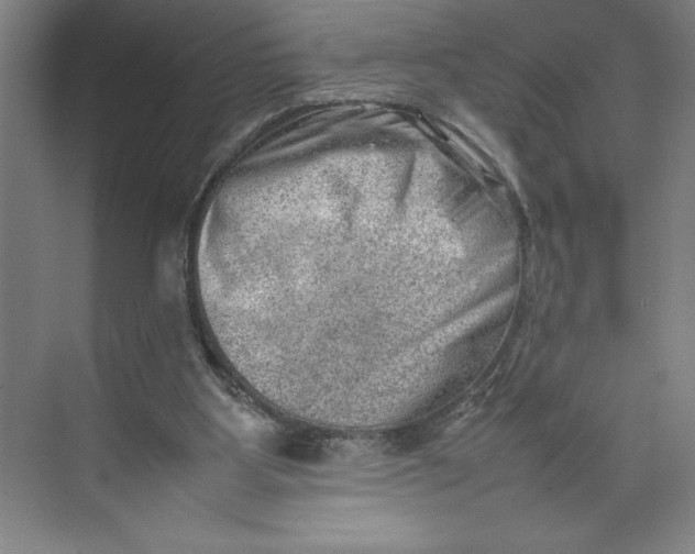 X0000074950107200609221741