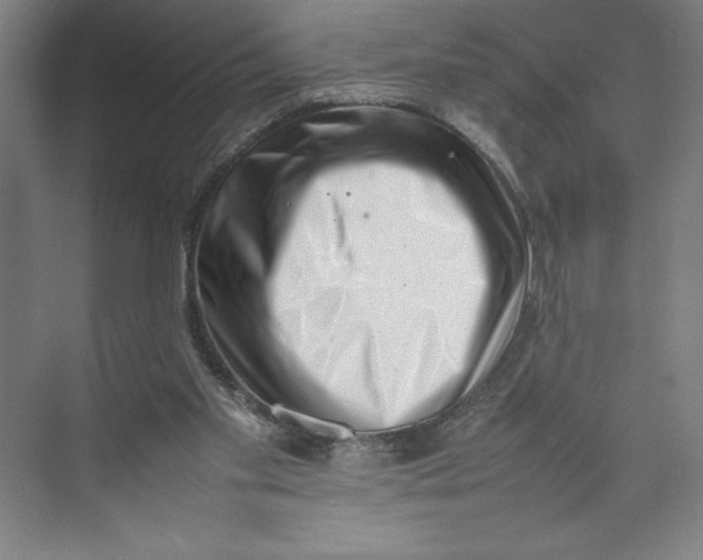X0000074950109200609221741