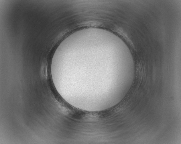 X0000074950110200609221741
