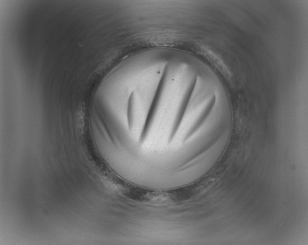 X0000074950113200609221741
